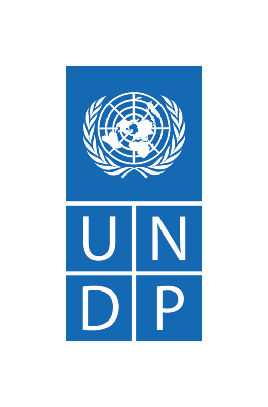 UNDP